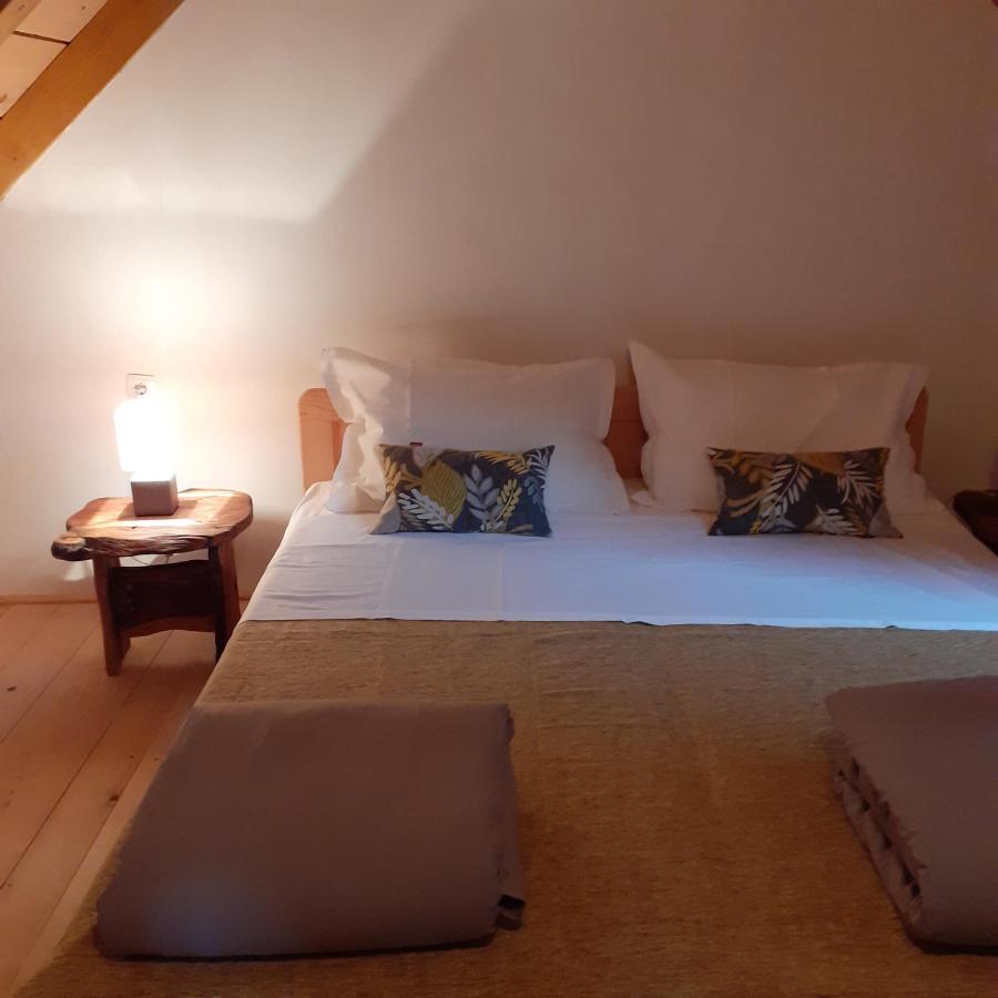 Latin Hotel Plaski Bagian luar foto