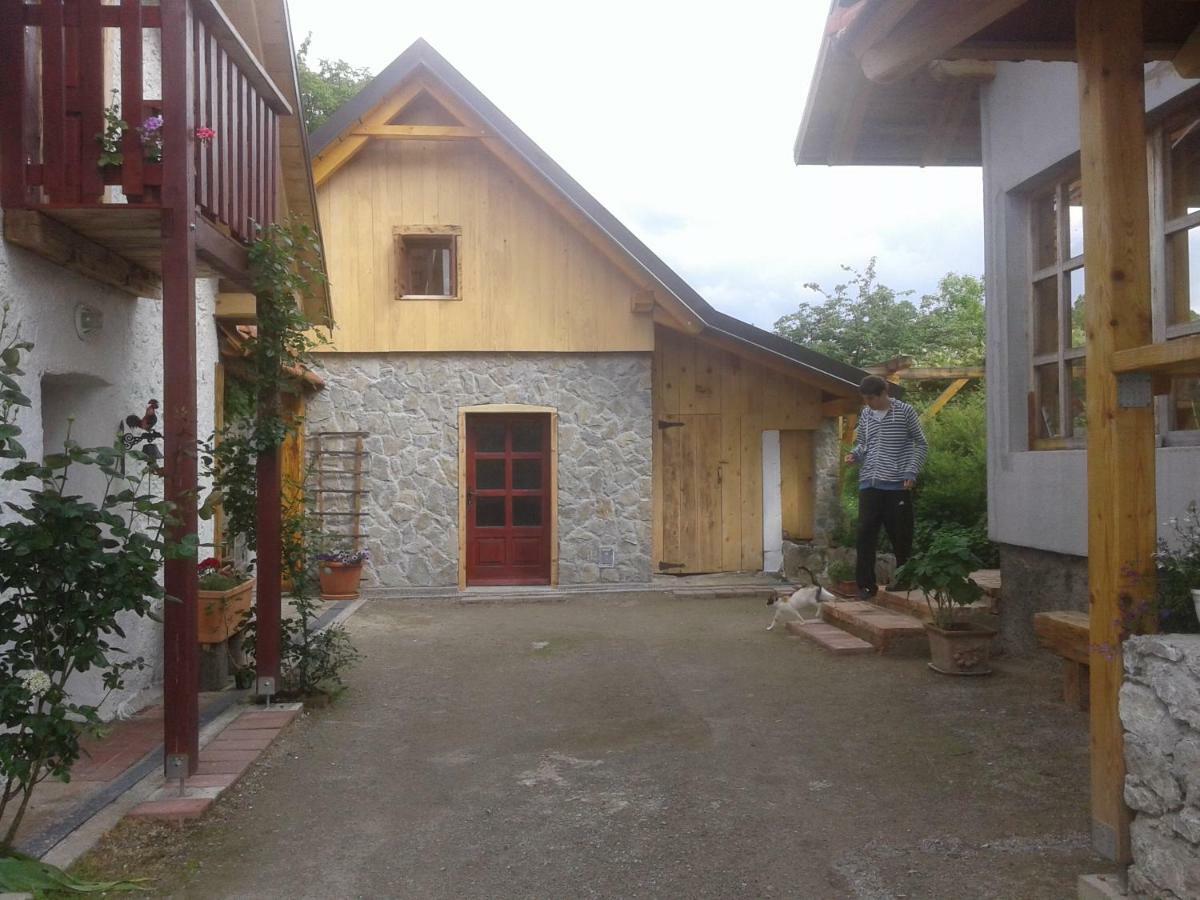 Latin Hotel Plaski Bagian luar foto