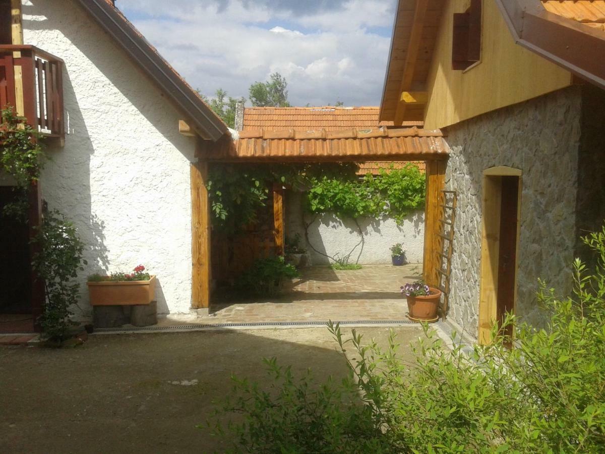 Latin Hotel Plaski Bagian luar foto