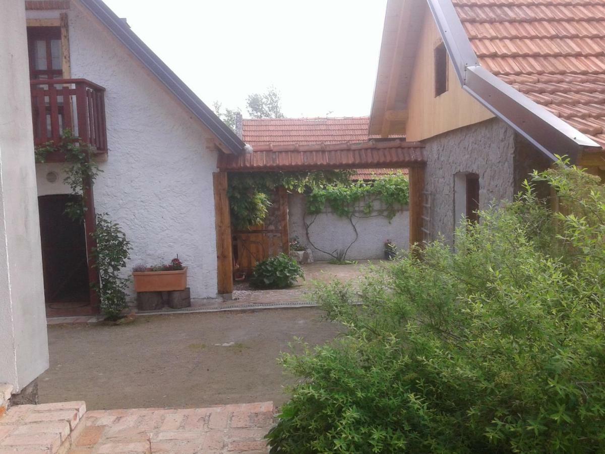 Latin Hotel Plaski Bagian luar foto