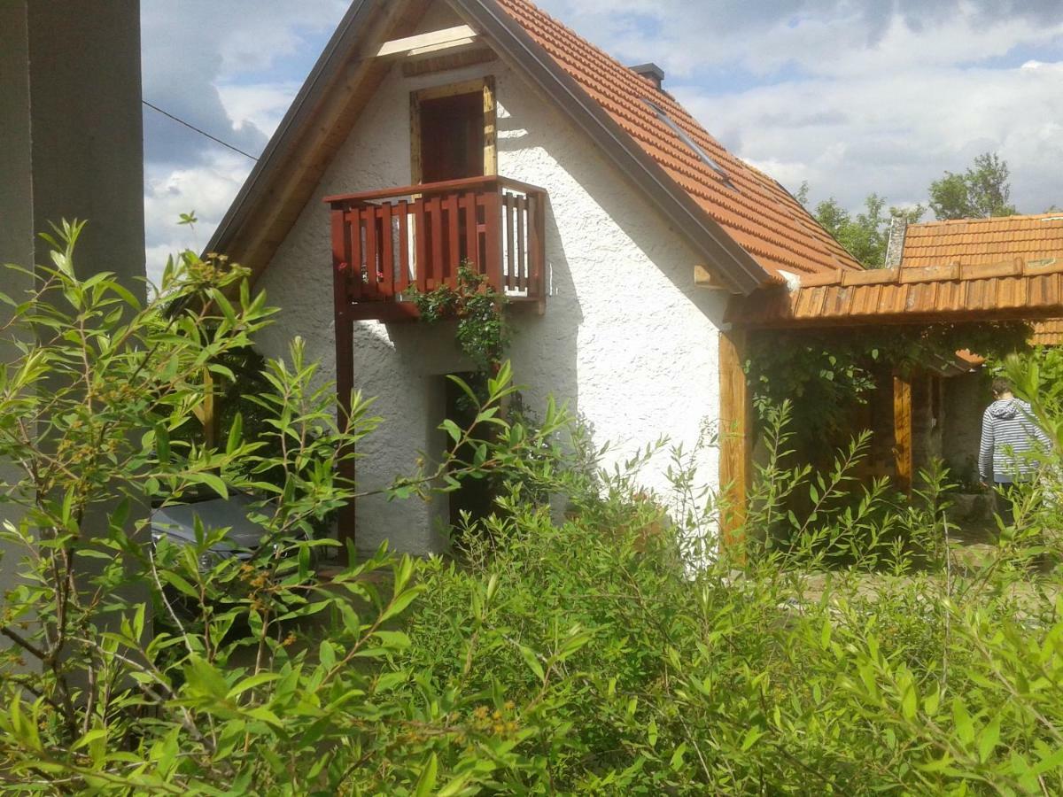 Latin Hotel Plaski Bagian luar foto